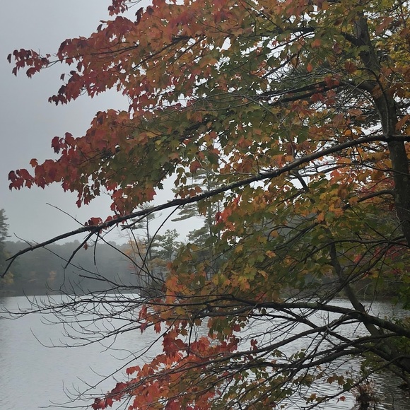 Meet your Posher, Marly - Picture 1 of 1